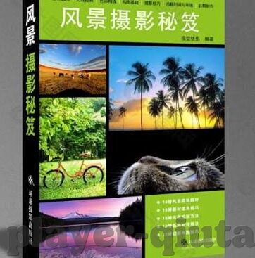 世界杯现剩球队-世界杯现剩球队，逐梦绿茵场上的最后征程
